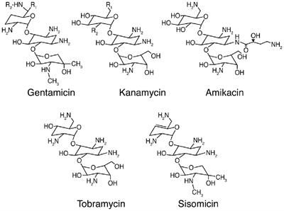 Aminoglycoside-Induced Cochleotoxicity: A Review